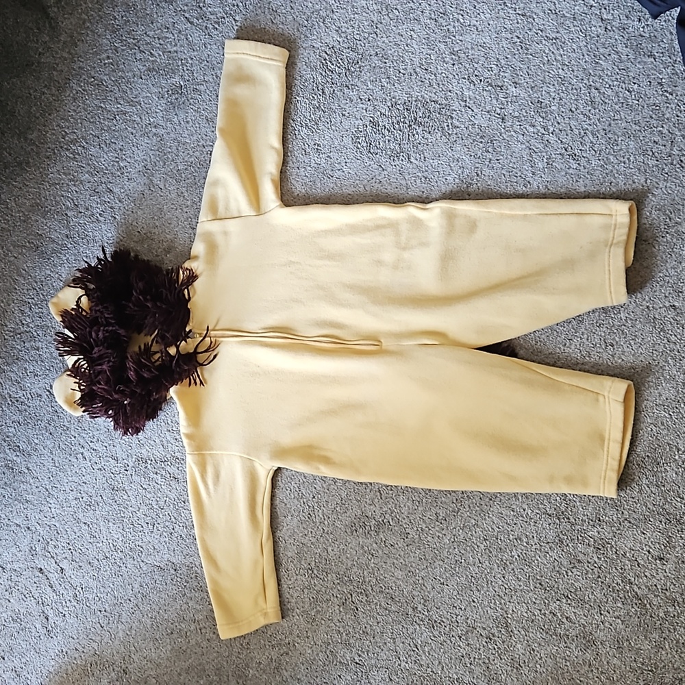 Lion costume